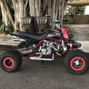 Meet your Posher, Willie